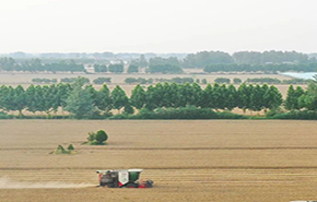 習近平總書記關切事｜藏糧于地、藏糧于技，筑牢豐收之基