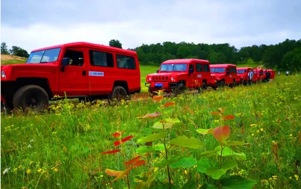 646ecdb7e6006.png image.png