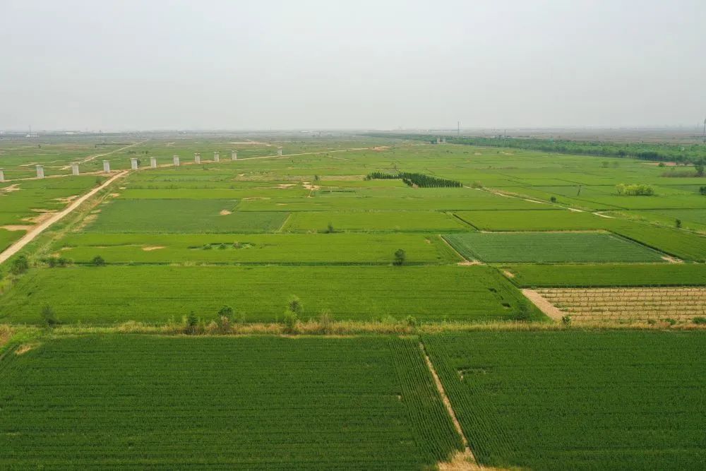 649a3aed44488.jpg 微信圖片_20230627092655.jpg